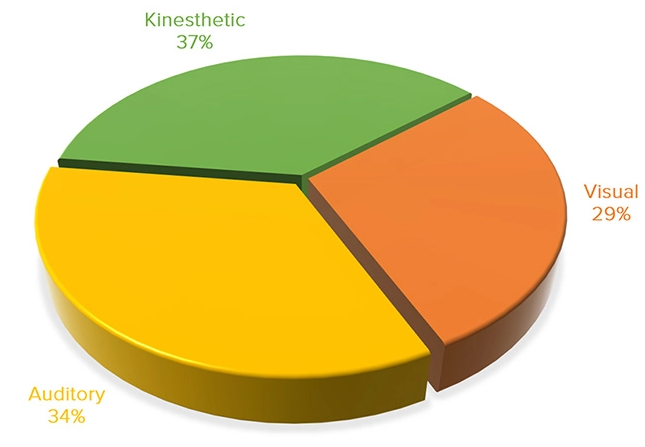 learning styles by percentage