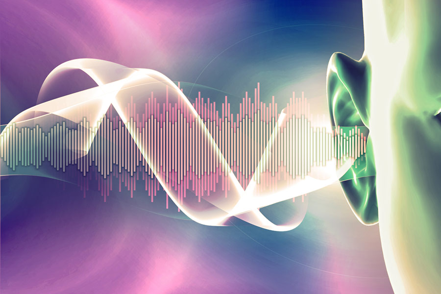 The Human Hearing Frequency Range and Audible Sounds