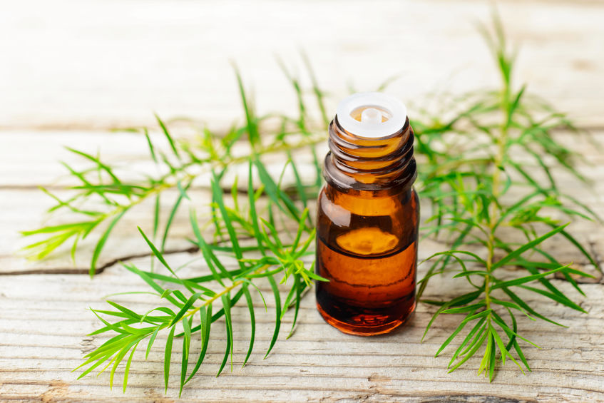 tea tree oil - natural remedies for hearing loss