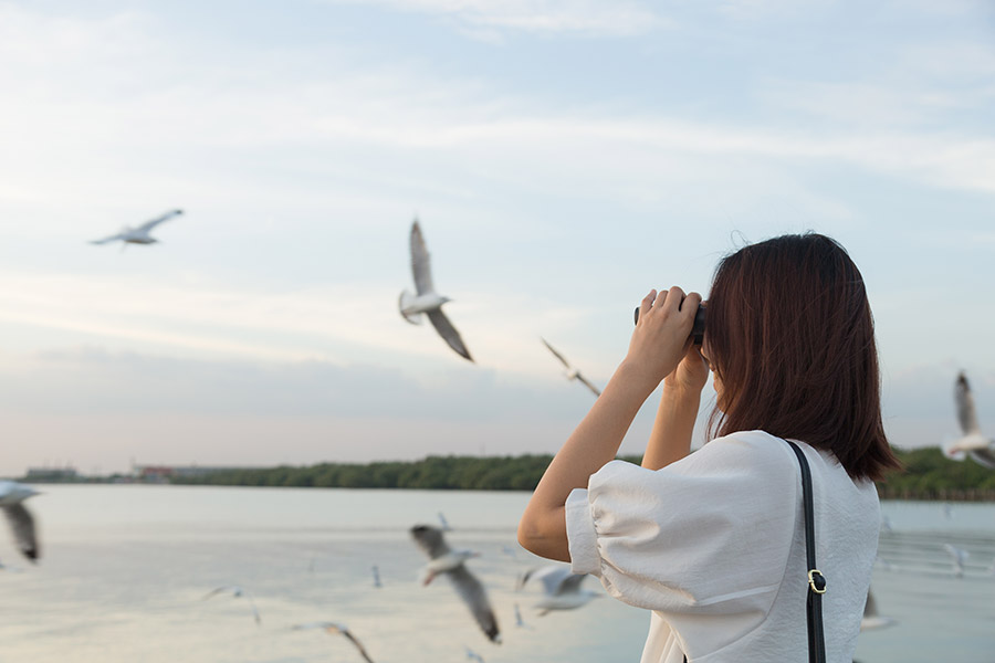 woman watching birds through binoculars by ocean